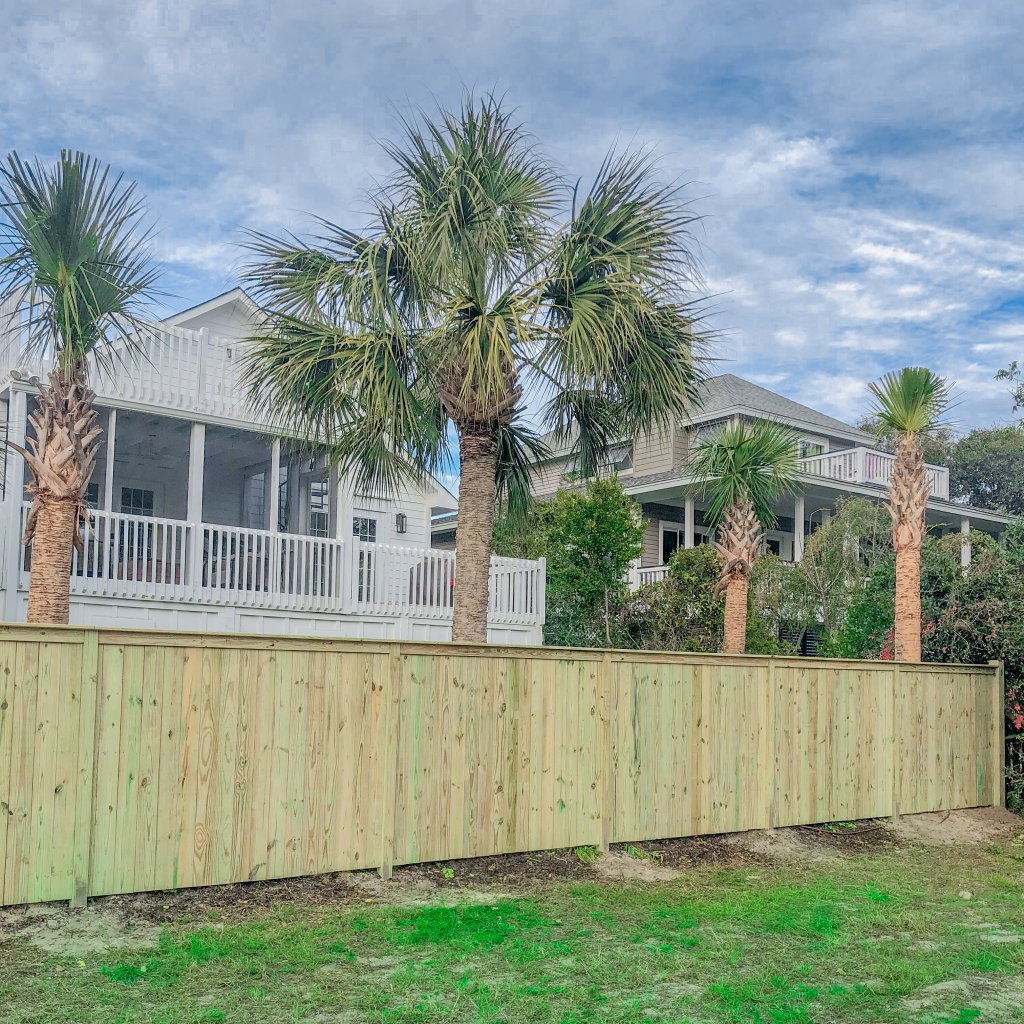 fence_sc_6ft_wood_privacy_with_palm_tree